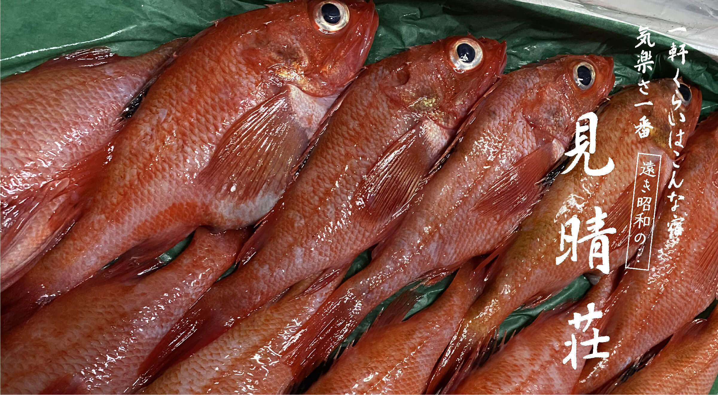 老神温泉 天然湯 見晴荘